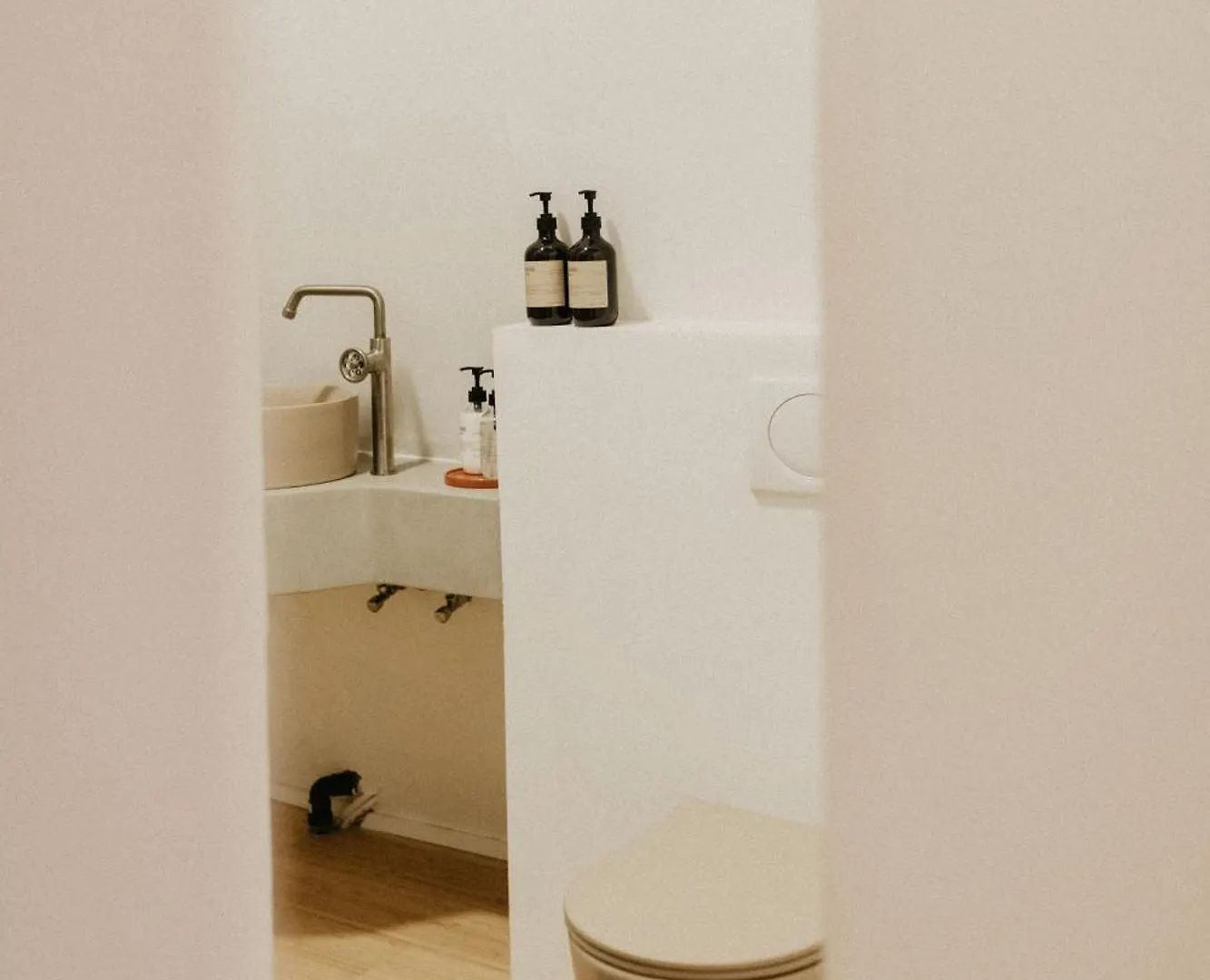 Dodo Antwerp Apartment Belgium
